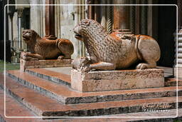 Duomo, Modena (31)