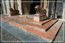 Duomo, Modena (60)