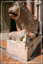 Duomo, Modena (66)