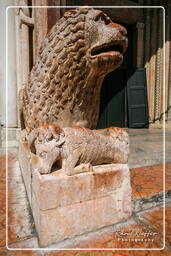Duomo, Modena (67)