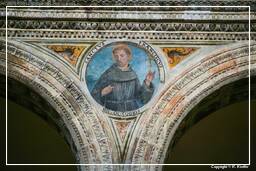 Ravenna (103) Sant’Apollinare Nuovo