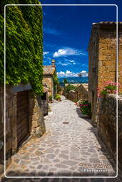 Bagnoregio (207)