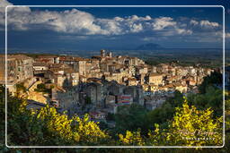 Caprarola (94)
