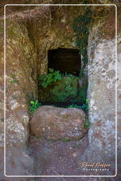 Cerveteri (106)