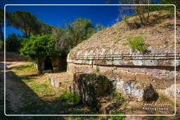 Cerveteri (209)