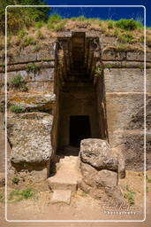 Cerveteri (358)