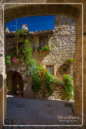 Farnese (84)