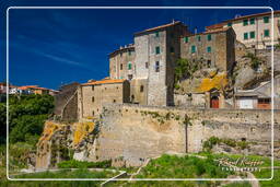 Farnese (120)