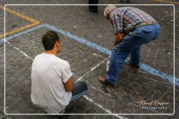 Infiorata von Genzano di Roma 2007 (18)