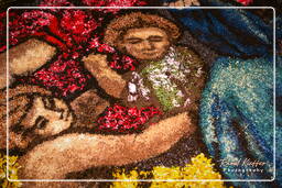 Infiorata von Genzano di Roma 2007 (58)