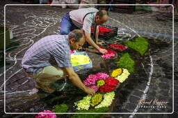 Infiorata of Genzano di Roma 2007 (81)