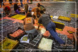 Infiorata von Genzano di Roma 2007 (82)