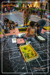 Infiorata of Genzano di Roma 2007 (83)