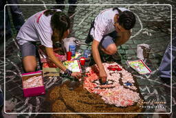 Infiorata of Genzano di Roma 2007 (86)