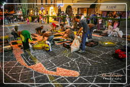 Infiorata of Genzano di Roma 2007 (97)