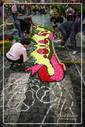 Infiorata di Genzano di Roma 2007 (99)