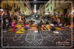 Infiorata de Genzano di Roma 2007 (100)