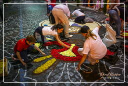 Infiorata di Genzano di Roma 2007 (113)