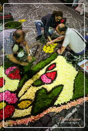 Infiorata di Genzano di Roma 2007 (114)