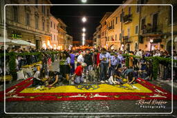 Infiorata von Genzano di Roma 2007 (128)