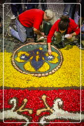 Infiorata von Genzano di Roma 2007 (130)