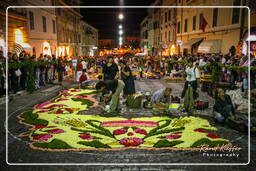 Infiorata de Genzano di Roma 2007 (135)