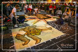 Infiorata de Genzano di Roma 2007 (137)