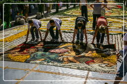 Infiorata de Genzano di Roma 2007 (142)