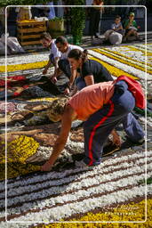 Infiorata of Genzano di Roma 2007 (144)