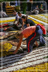 Infiorata of Genzano di Roma 2007 (144)