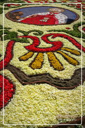 Infiorata di Genzano di Roma 2007 (152)