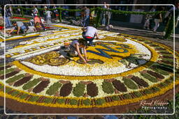 Infiorata of Genzano di Roma 2007 (154)