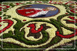 Infiorata von Genzano di Roma 2007 (160)