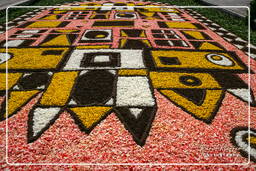 Infiorata of Genzano di Roma 2007 (165)