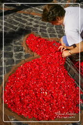 Infiorata of Genzano di Roma 2007 (167)