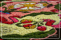 Infiorata de Genzano di Roma 2007 (168)