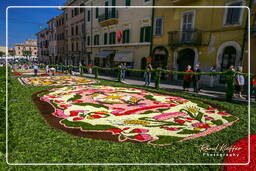 Infiorata de Genzano di Roma 2007 (169)