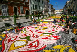 Infiorata von Genzano di Roma 2007 (171)