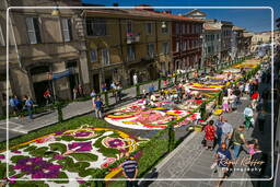 Infiorata of Genzano di Roma 2007 (181)