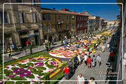 Infiorata di Genzano di Roma 2007 (183)