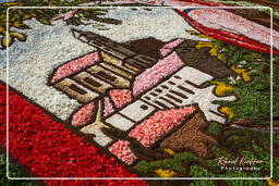 Infiorata de Genzano di Roma 2007 (184)