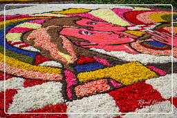 Infiorata von Genzano di Roma 2007 (189)