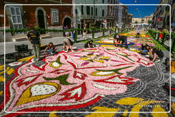 Infiorata di Genzano di Roma 2007 (191)