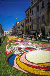 Infiorata von Genzano di Roma 2007 (193)