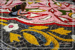 Infiorata von Genzano di Roma 2007 (200)