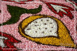 Infiorata of Genzano di Roma 2007 (202)