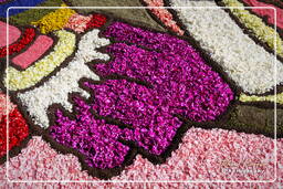 Infiorata de Genzano di Roma 2007 (207)