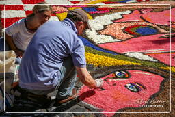 Infiorata von Genzano di Roma 2007 (210)