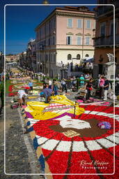 Infiorata von Genzano di Roma 2007 (214)