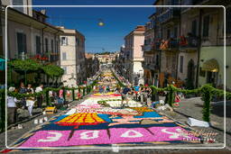 Infiorata di Genzano di Roma 2007 (217)